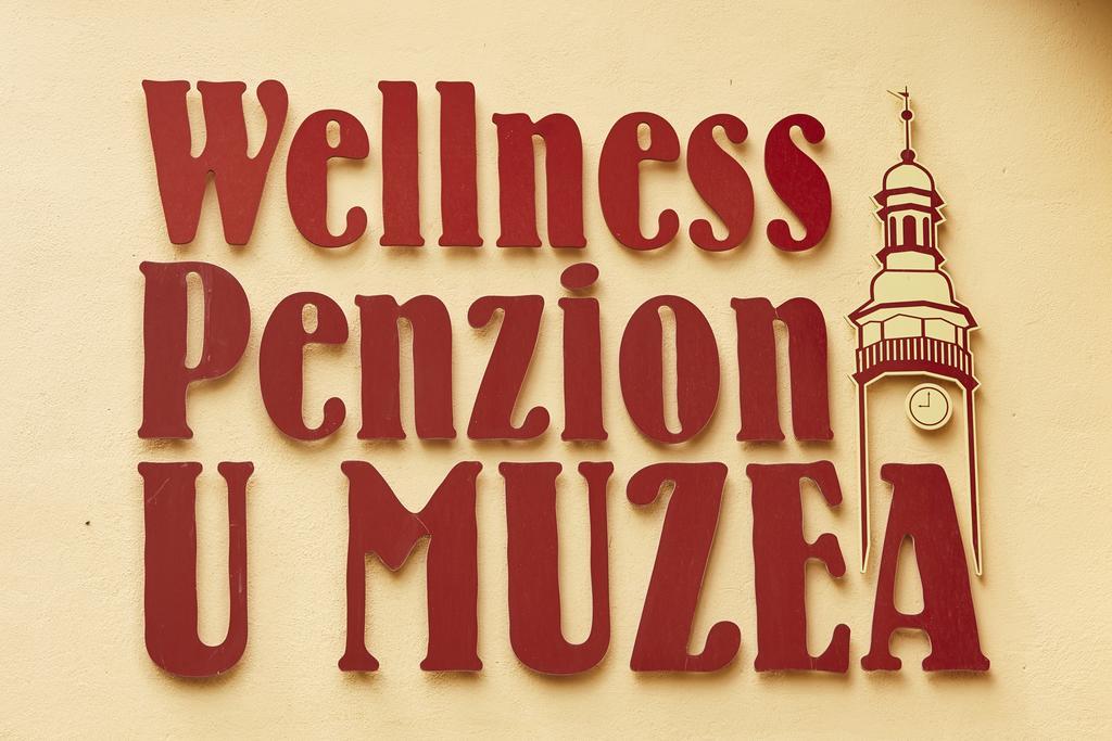 Wellness Penzion U Muzea Hotel Liberec Bagian luar foto